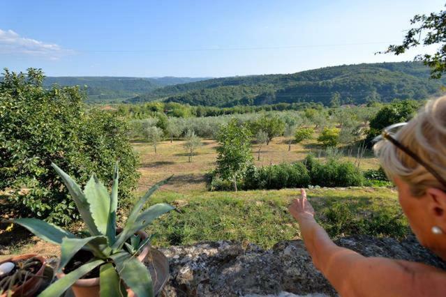 Cozy Istrian House Guest House อิซอลา ภายนอก รูปภาพ