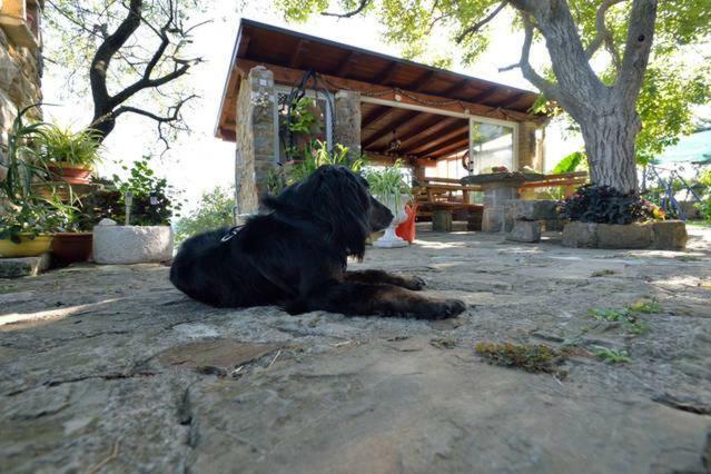 Cozy Istrian House Guest House อิซอลา ภายนอก รูปภาพ