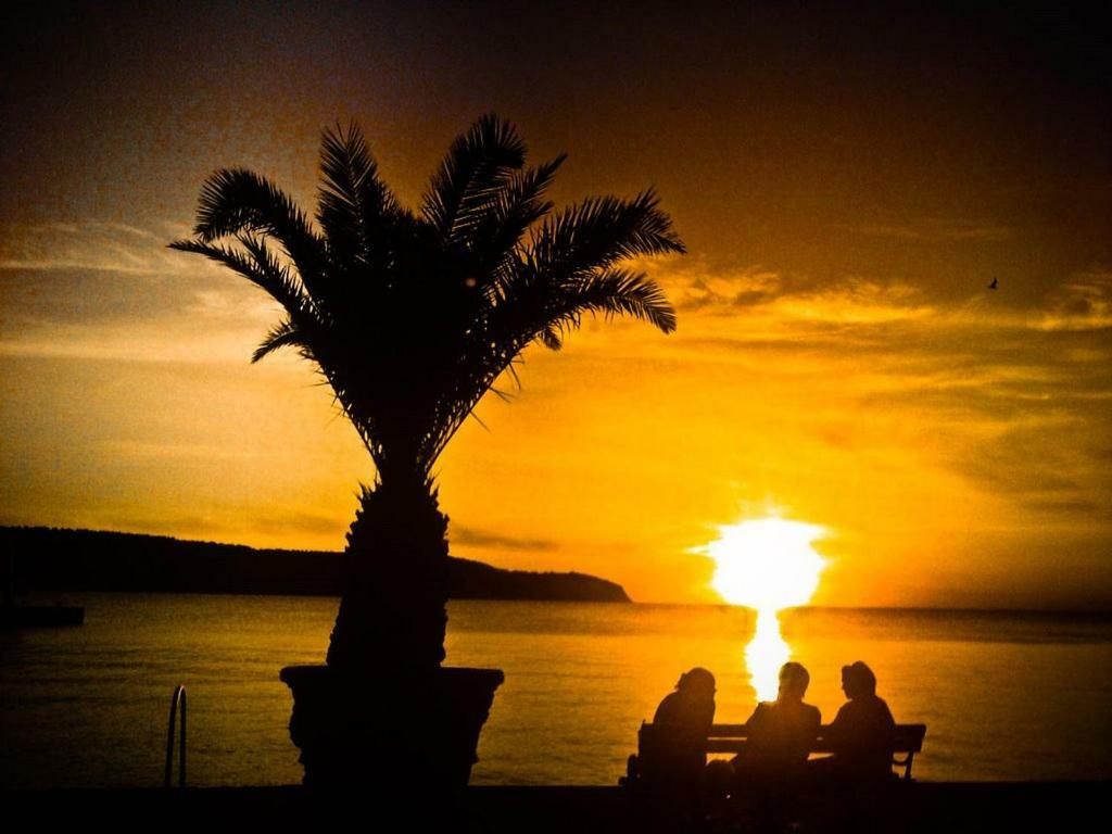 Cozy Istrian House Guest House อิซอลา ภายนอก รูปภาพ