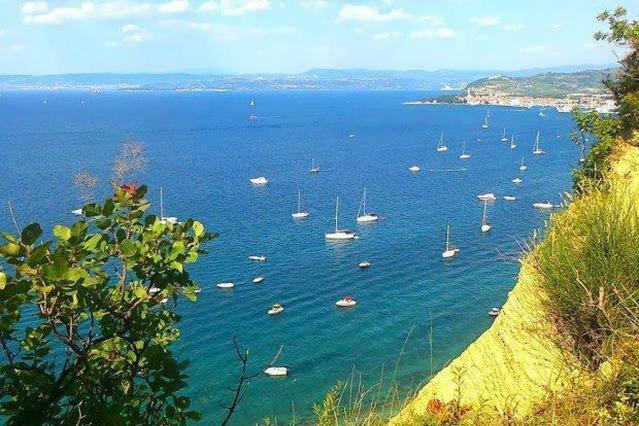 Cozy Istrian House Guest House อิซอลา ภายนอก รูปภาพ