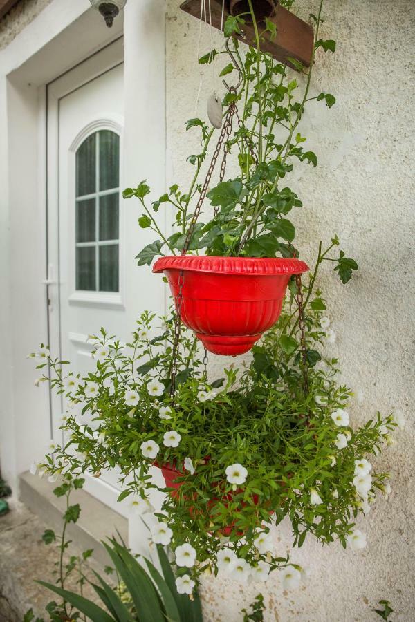Cozy Istrian House Guest House อิซอลา ภายนอก รูปภาพ