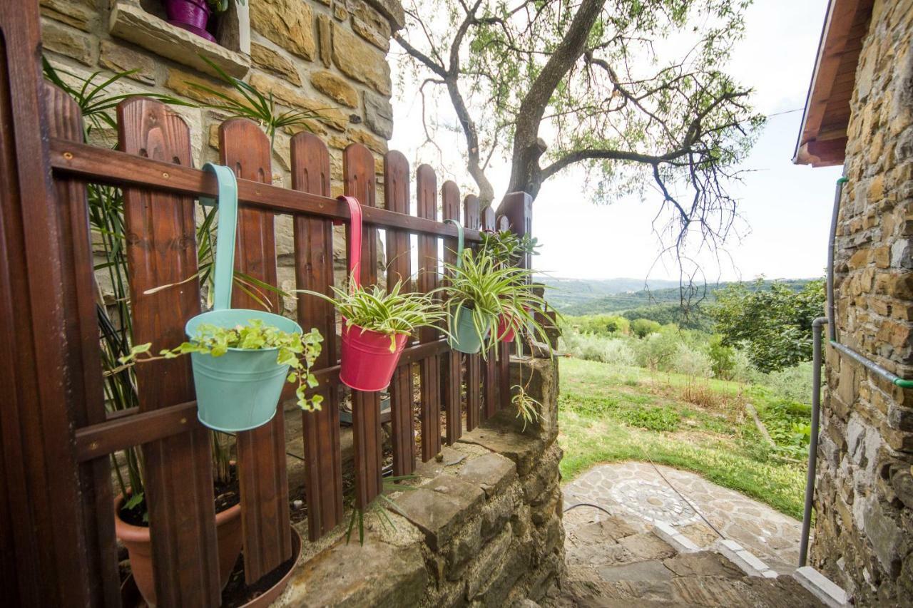 Cozy Istrian House Guest House อิซอลา ภายนอก รูปภาพ