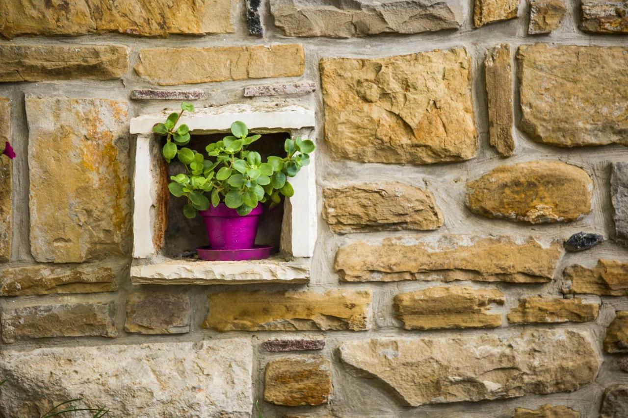 Cozy Istrian House Guest House อิซอลา ภายนอก รูปภาพ