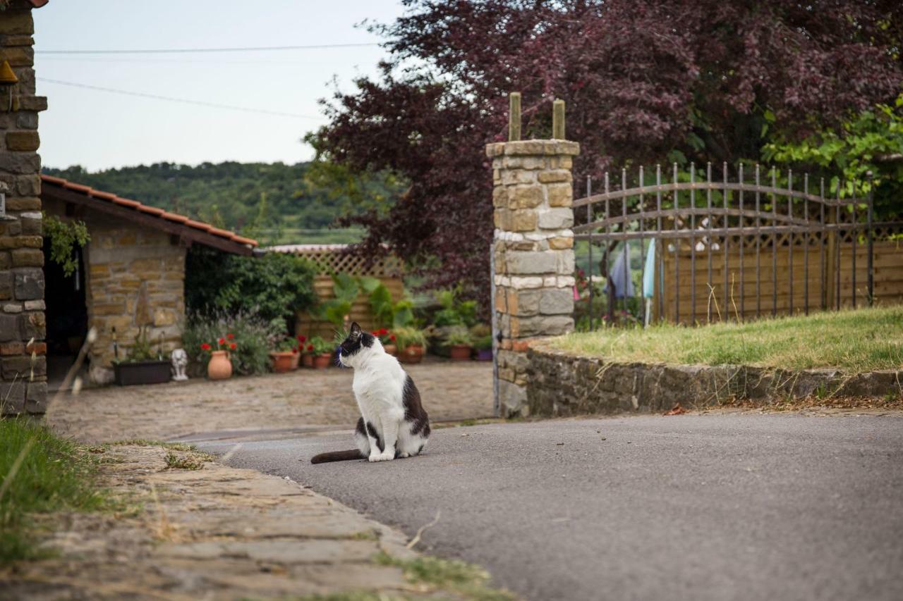 Cozy Istrian House Guest House อิซอลา ภายนอก รูปภาพ