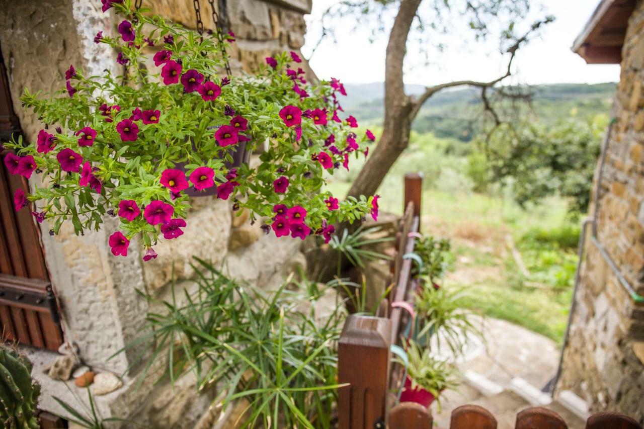 Cozy Istrian House Guest House อิซอลา ภายนอก รูปภาพ