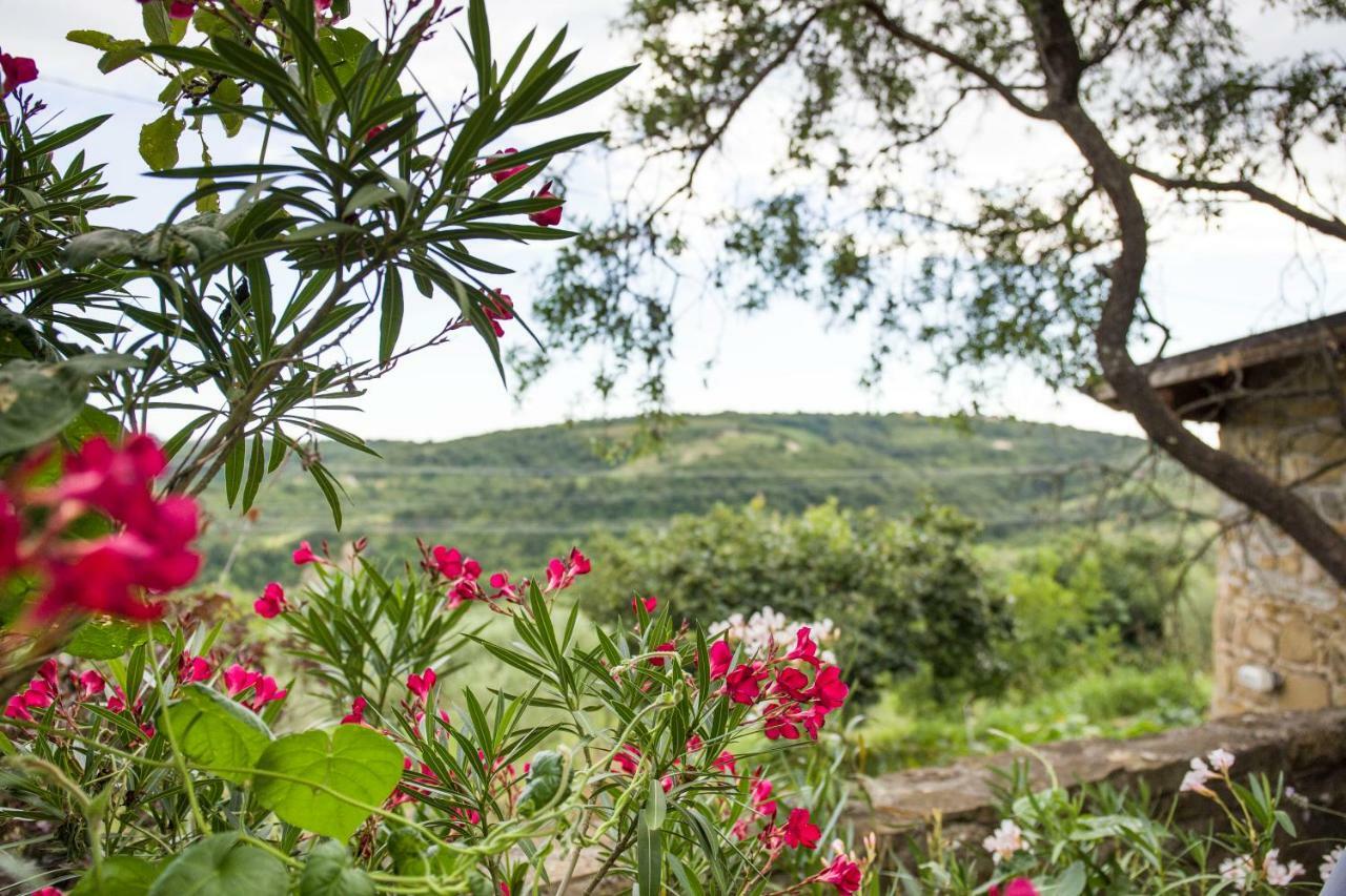 Cozy Istrian House Guest House อิซอลา ภายนอก รูปภาพ