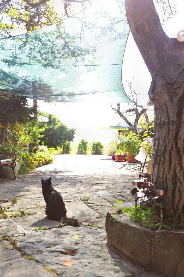Cozy Istrian House Guest House อิซอลา ภายนอก รูปภาพ