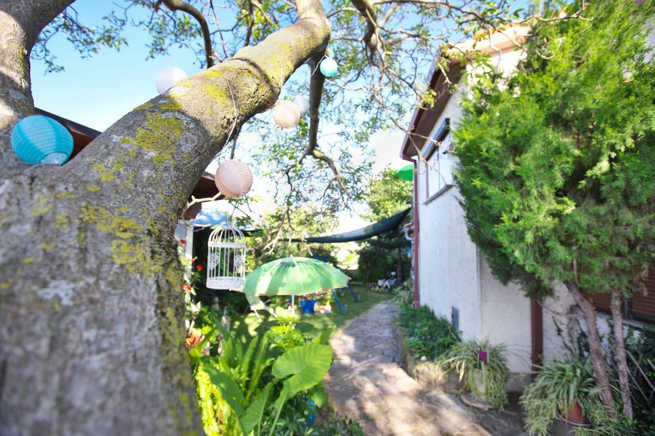 Cozy Istrian House Guest House อิซอลา ภายนอก รูปภาพ