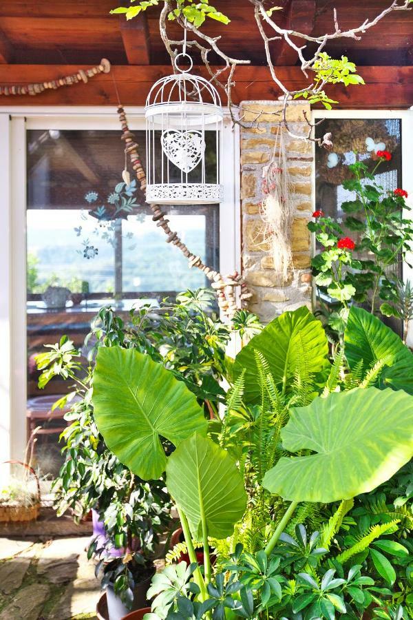 Cozy Istrian House Guest House อิซอลา ภายนอก รูปภาพ
