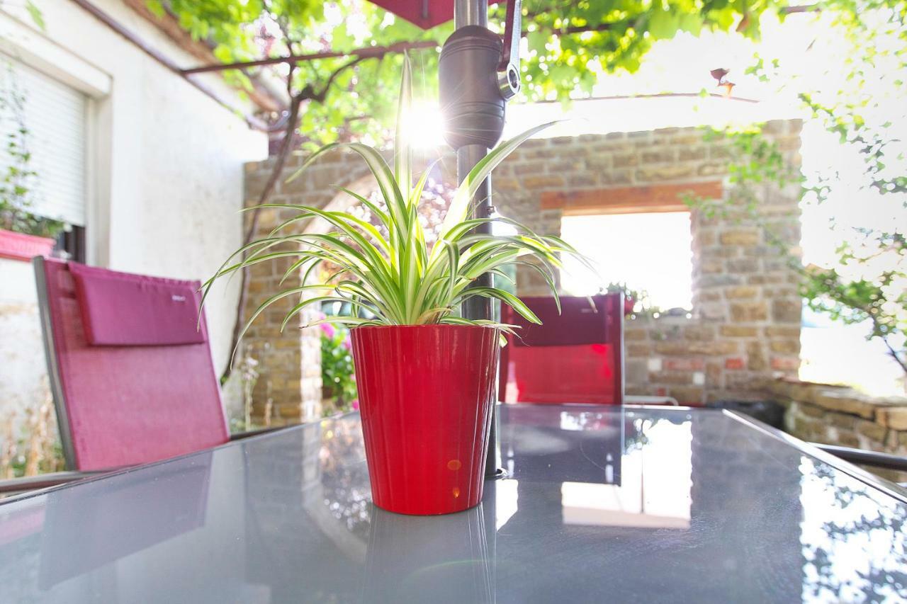 Cozy Istrian House Guest House อิซอลา ภายนอก รูปภาพ
