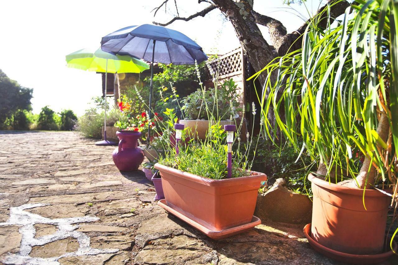Cozy Istrian House Guest House อิซอลา ภายนอก รูปภาพ