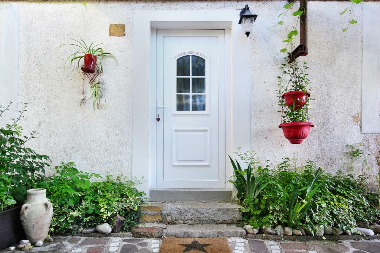 Cozy Istrian House Guest House อิซอลา ภายนอก รูปภาพ